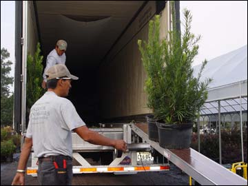 Loading a truck with product. Note the product can hang over the edges of the conveyor.